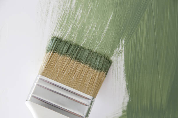 Best Emergency Mold Remediation  in Westlake, OH