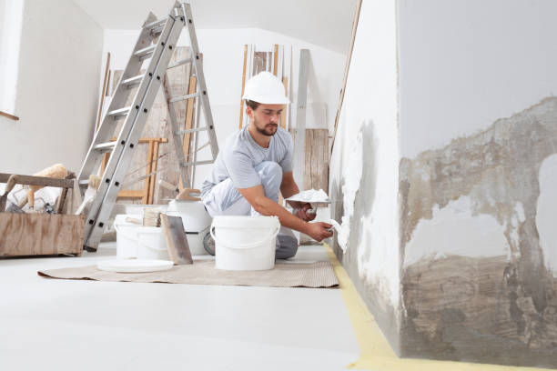 Best Black Mold Removal  in Westlake, OH