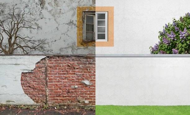 Best Forensic Mold Investigation  in Westlake, OH