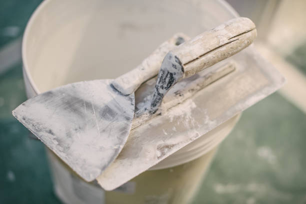 Best Mold Damage Restoration  in Westlake, OH